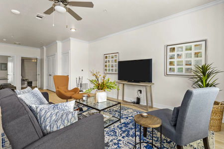 One-Bedroom 03